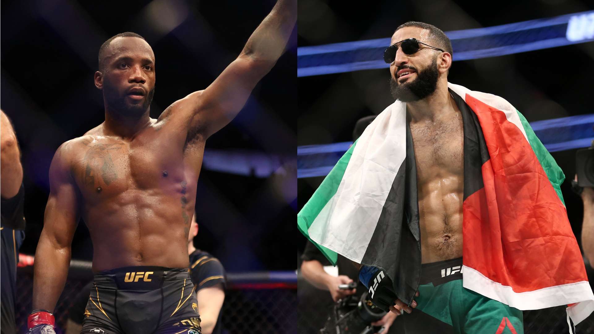 众多机会 众多机会