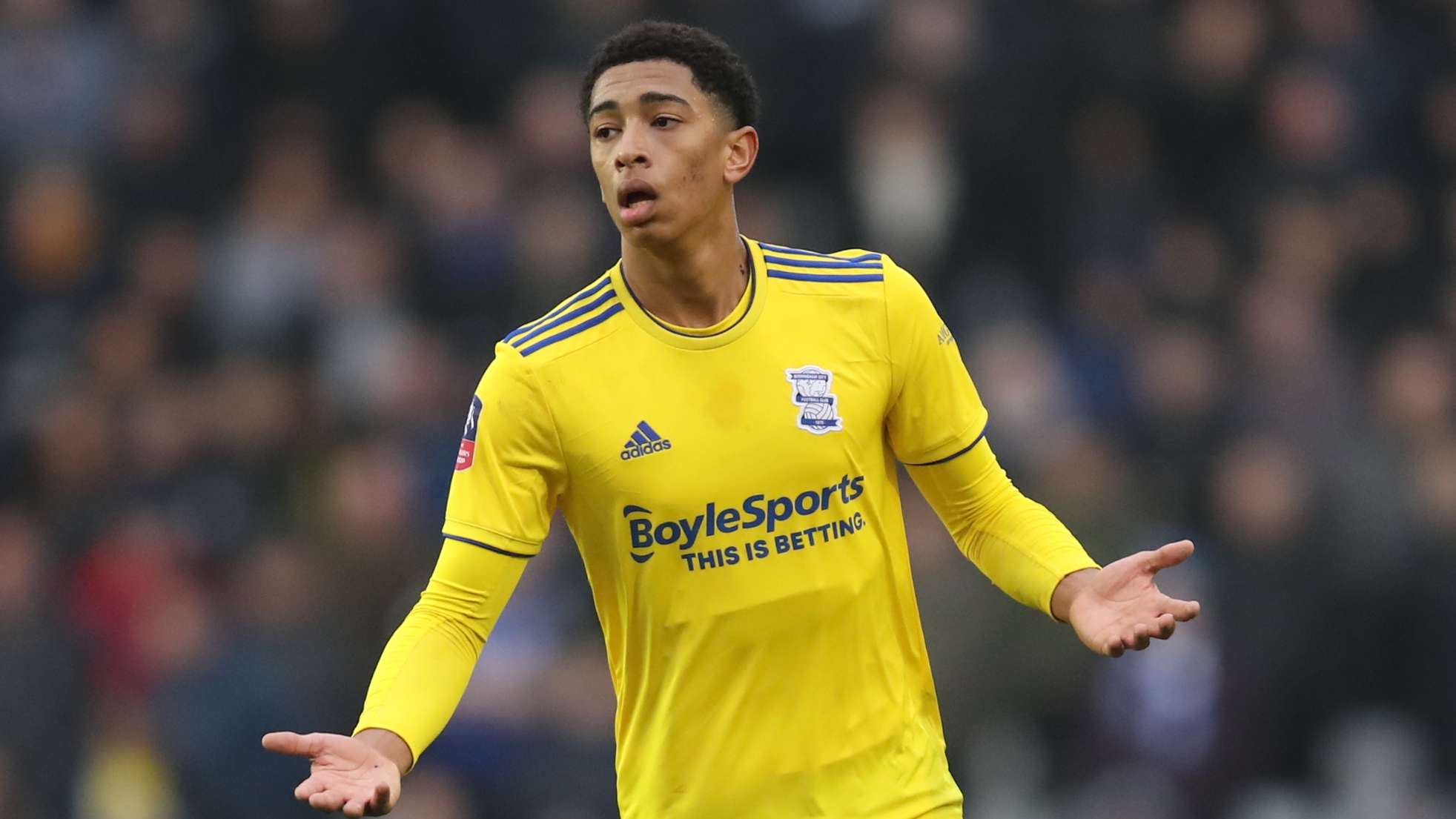 吸引了全球 吸引了全球